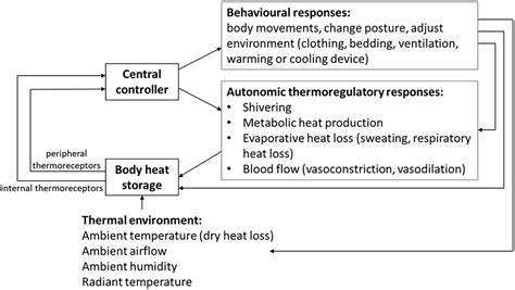 IntroductiontoPhysiologicalResponsesandSleep