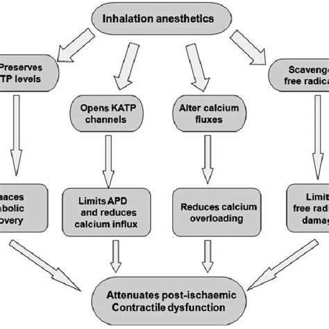 PharmacologicalInterventions:ALookatCurrentMedications